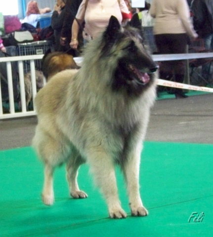 n°78 Banzai du parc jonageois 5289.jpg